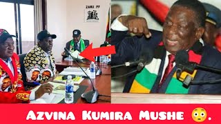 Zanu PF Vorodzerana Mapanga  Azvina Kumira Mushe 😳 [upl. by Eniamsaj]