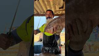 AMAZING FISH CUTTING EXPERIENCE​⁠SLfoodsacademyshorts [upl. by Tudor]