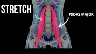 BEST Psoas Stretch Immediate Release [upl. by Yllus]