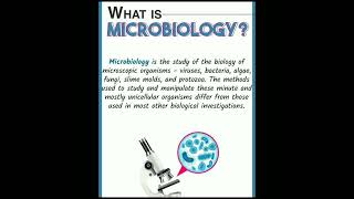 Ecoli on MacConkey agar amp Definition of microbiology 💯😘share subscribe like [upl. by Golliner]