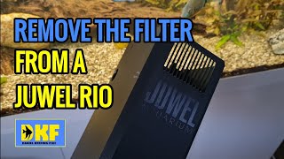 HOW TO REMOVE THE FILTER FROM A JUWEL RIO [upl. by Heidt]