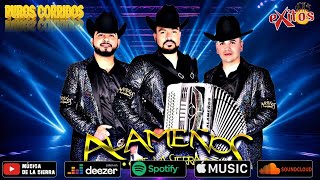 Popurri Los Alameños  Las Mas Chingonas PaBailar MIX  Corridos y Cumbias Sierreñas [upl. by Nnalorac592]