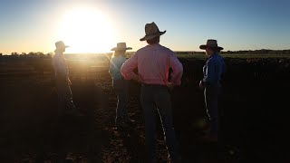 Farmers protest against government ban on live sheep exports [upl. by Oilcareh436]