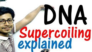 DNA supercoiling explained [upl. by Akinat482]