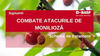 Monilioza la Cires  Combate Boala cu Tratamentul INOVATOR Signum® [upl. by Balling]