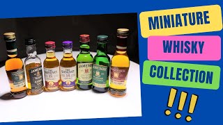 Miniature Whisky Bottle Collection in Hindi  May 2022  Mini Whiskey Bottles [upl. by Sivrad]