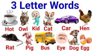 Three Letter Words  Vocabulary For Kids  English For Toddlers  englishlearning [upl. by Schober]