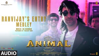 ANIMALRanvijay’s Entry Medley Audio Ranbir Kapoor AR RahmanThreeory Band Sandeep Bhushan K [upl. by Efal]