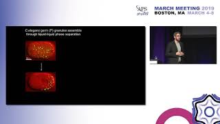 Intracellular Liquid Condensates Cliff Brangwynne [upl. by Attezi271]