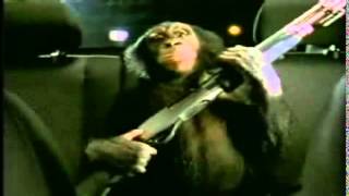 Trunk Monkey Date Night Chaperone Edition Commercial Very Funny TV Ads from Suburban Auto [upl. by Labana]