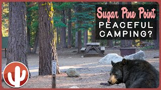 Sugar Pine Point Campground  Lake Tahoes Hidden Gem For Nature Immersion [upl. by Enatan]