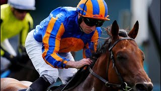 Derby favourite THE LION IN WINTER impressive victory in Acomb Stakes G3 [upl. by Clova]