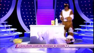 Ben amp Arnaud Tsamere 7 Les chats vontils dominer le monde  ONDAR [upl. by Mobley]