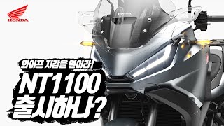 HONDA NT1100 드디어 국내 출시확정 혼다 새로운 리터급 투어러 [upl. by Aihseuqal345]