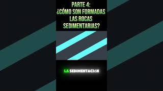 PARTE 4 ¡Descubre el Misterio de las Rocas Sedimentarias 🌍🪨 educacionsteam rocassedimentarias [upl. by Nahgaem]