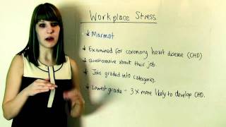 AS Psychology Revision An Overview of Stress [upl. by Laenahtan]