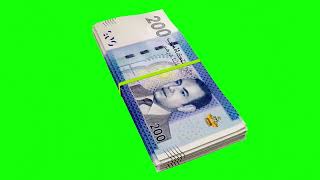 Moroccan dirham rotating stack  Moroccan currency green screen  white screen  black screen [upl. by Nnylyram]