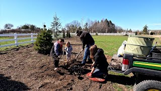 Planting a Weeping Alaskan Cedar Sedum amp Hydrangeas  Transplanting a Mature Hibiscus 🌲🙌🌿 [upl. by Eelah]