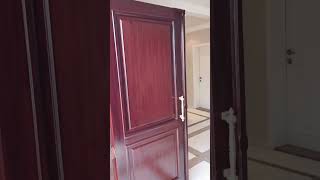 Door polishing complete process shorts viralvideo youtubeshorts trendingshorts ytshorts [upl. by Aihtnyc]