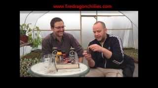 Evil Chefs try Dragon fury sauce Hot 10 [upl. by Barrington]