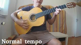 Gipsy Kings  quotVolarequot Tutorial   Cover [upl. by Halima324]