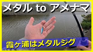 アメリカナマズを1日に2本釣りたい！大谷翔平がライバル 1日2本の男 [upl. by Tracey977]