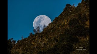 Teoría de un Encuentro Carlos Framb [upl. by Reeher478]