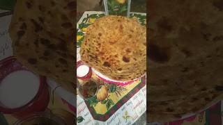 besan ki roti recipe by samrakitchen sk tasty tastyracipe moonsoon viral viralshorts [upl. by Cinnamon186]