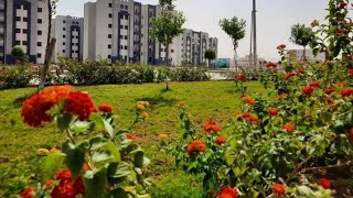 حدائق اسكان مدينة أخميم الجديدة بمحافظة سوهاج بصعيد مصر2023Gardens of the new city of Akhmim [upl. by Teryl]