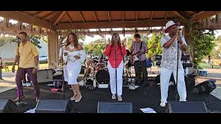 Uptown Funk covered by Pride amp Joy  Brisbanes Concerts in the Park 7122024 [upl. by Tram]