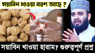 সয়াবিন খাওয়া হারাম Soyabean Khaoya Haram Na Halal Mizanur Rahman Azhari Bayan  Islamic video  ik [upl. by Naor264]