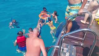 How to do snorkeling for beginners kids and seniors in Orange bay Hurghada Island Snorkeling Trip [upl. by Lucic]