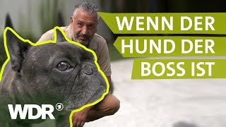 Dem Hund Grenzen setzen  Hunde verstehen  S01E01  WDR [upl. by Nnairrehs]