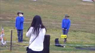 【岩手観光】小岩井農場ひつじショー 牧羊犬 Koiwai sheep dog show [upl. by Osborne]