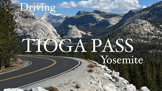 81 Tioga Pass  Yosemite  Lee Vining [upl. by Leahcym983]