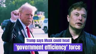 JUST IN Trump Says Elon Musk Has Agreed To Head Government Efficiency Task Force [upl. by Wemolohtrab110]