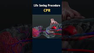 Animated CPR Demonstration Resuscitation in Action cpr lifesavingtips rescue 3danimation viral [upl. by Lednor]