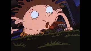 The Wild Thornberrys  Donnie Finds a Bug [upl. by Hardigg]