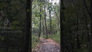 Outdoor Adventures 🥾🎣 fishing hiking trees nature love outside weekendvibes iowa living [upl. by September]