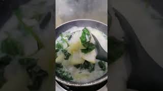 Masak lemak putih kundur amp pucuk keledek menuberbuka sayurkampung sayurlemak [upl. by Haidadej]