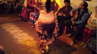 Flamenco Dance by Spanish Gypsies Part 1 [upl. by Ailen]