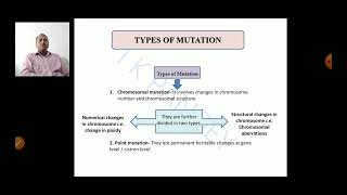 Mutation and Chromosomal aberrations [upl. by Weinstein687]