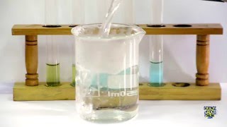 Food Tests  Iodine Biuret Benedicts Ethanol DCPIP [upl. by Aiuqcaj310]