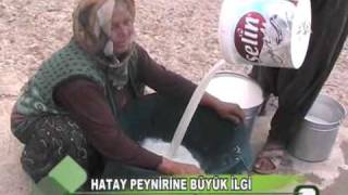 Hatay peynirine büyük ilgi [upl. by Idalla509]