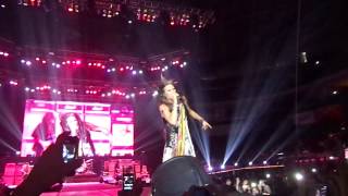 Aerosmith Live in Manila  I Dont Wanna Miss A Thing [upl. by Annahsat963]