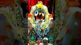 Jagatara naatha jagannath ❤❤jayjagannathpuri youtubeshort [upl. by Munn]