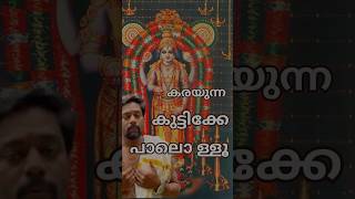 ഓടി ചെന്ന് ദുഃഖങ്ങൾ പറയരുത് 🙏 guruvayurappan lordshiva lordkrishna shortvideos [upl. by Khosrow]