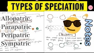 Types of Speciation  Allopatric Sympatric Parapatric Peripatric😎🤩 [upl. by Eceinwahs956]