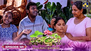 Neluni  EPISODE 101  නෙලුනි  21st November 2024 [upl. by Chloris]