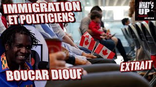 Immigration et POLITICIENS  Boucar Diouf  Whats Up Podcast Extrait [upl. by Latrina]